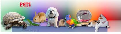 animals.jfif